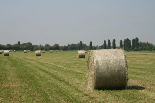 La nostra azienda